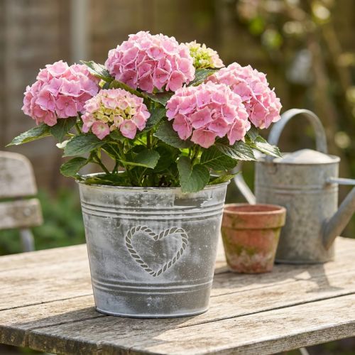 Shabby Chic -metallista valmistettu sydämenmuotoinen kukkaruukku, Ø22 cm, korkeus 17,5 cm | Floristik24.fi