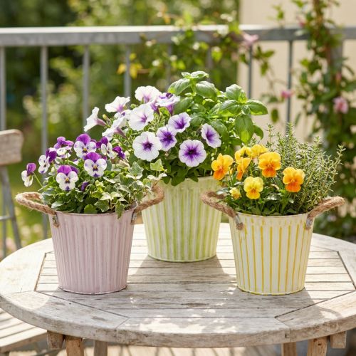 Istutusämpäri, istutuslaatikko kahvoilla, metallikoristeet pinkki/vihreä/keltainen shabby chic Ø16,5 cm korkeus 15 cm 3-osainen setti | Floristik24.fi