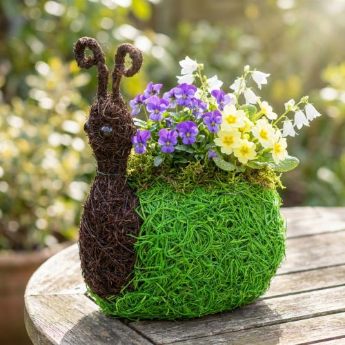 Planter Snail Vine Natural, Vihreä 21x14cm K26cm | Floristik24.fi