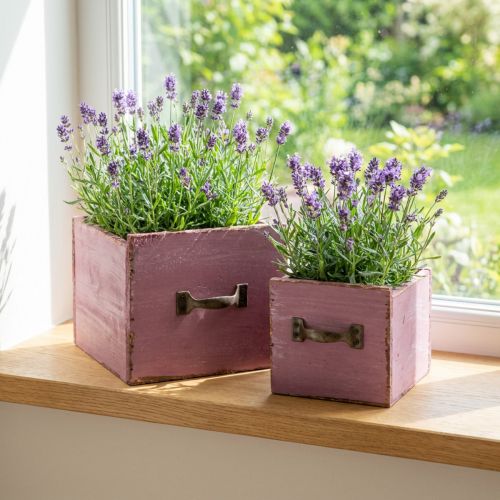 Kasvilaatikon kasvilaatikko puinen violetti 12,5/16 cm 2 kappaletta | Floristik24.fi
