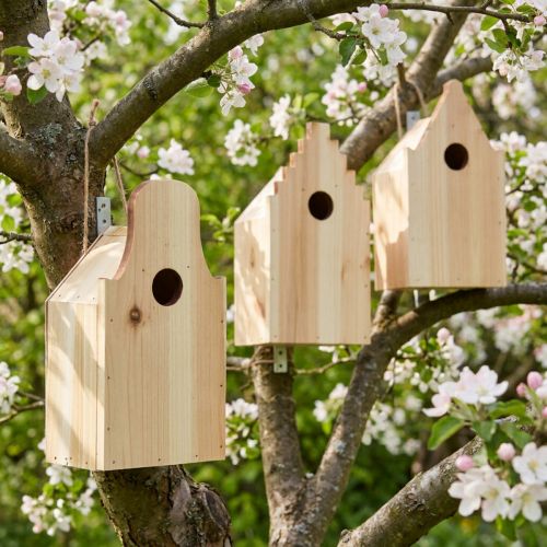 kohteita Birdhouse Puinen sikiölaatikko Sinitiainen kuusi H22,5cm 3kpl