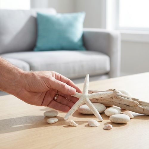 kohteita Aito meritähti luonnonkoristelu merellinen Ø16-20cm 10 kpl