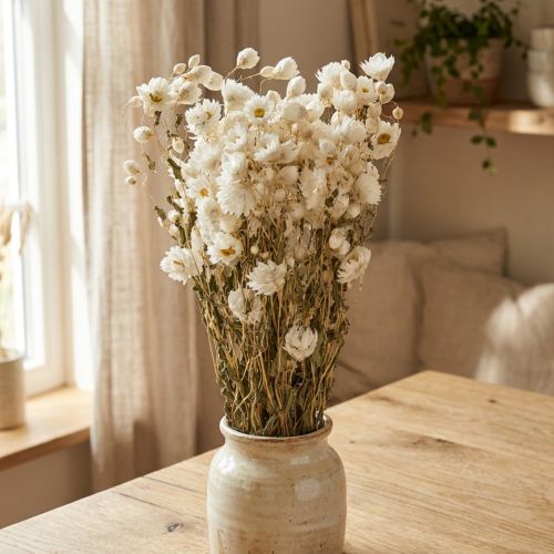 Kamomilla kuivatut kukat koristekukat Valkoinen kimppu 65cm 50g | Floristik24.fi