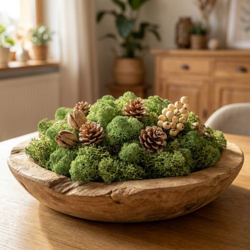 kohteita Vihreä islantilainen sammal 400g