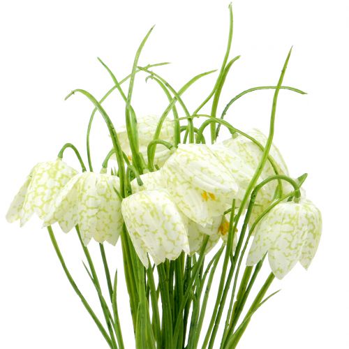 Floristik24 Shakkilaudan kukat Fritillaria tekovalkoinen, vihreä 40cm 12 kpl