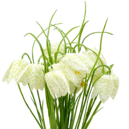 Floristik24 Shakkilaudan kukat Fritillaria tekovalkoinen, vihreä 40cm 12kpl