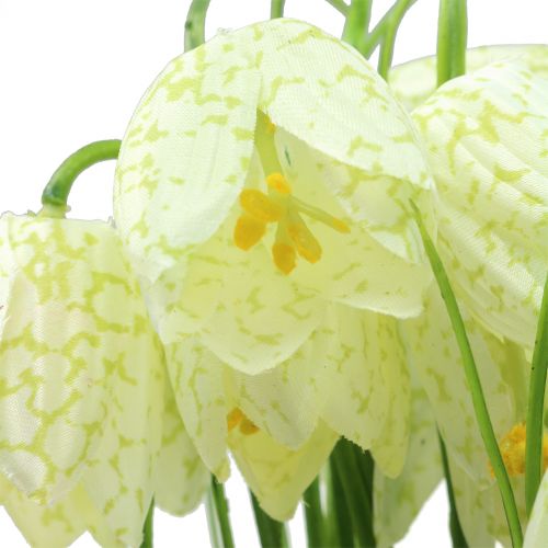 Floristik24 Shakkilaudan kukat Fritillaria tekovalkoinen, vihreä 40cm 12 kpl