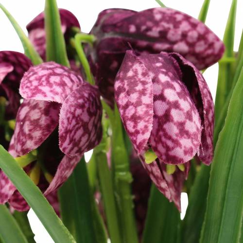 kohteita Shakkilautakukat Fritillaria keinovioletti 29cm 6 kpl