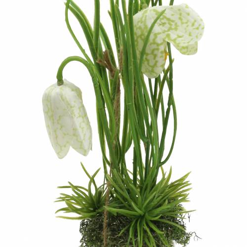 Floristik24 Fritilaria munankuoressa ripustaa keinotekoisesti vihreä, valkoinen 25cm