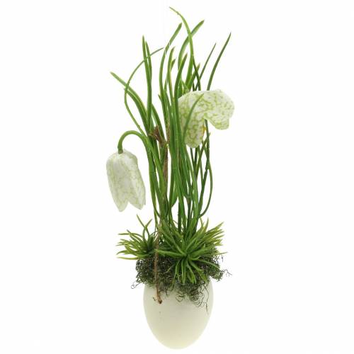 Fritilaria munankuoressa ripustaa keinotekoisesti vihreä, valkoinen 25cm