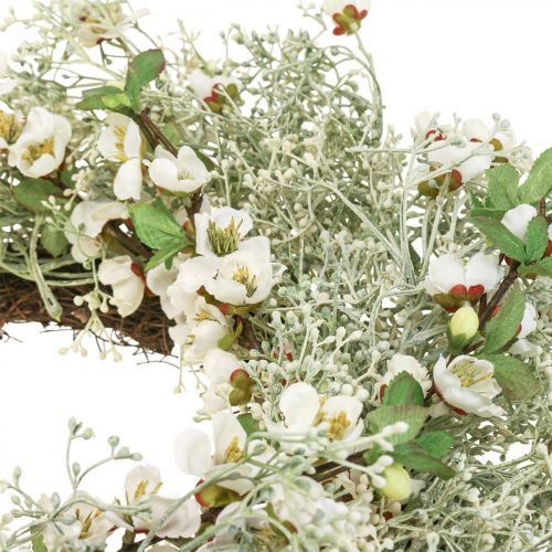 Floristik24 Kevätseppele kirsikankukkia gypsophila seppele keinotekoinen Ø50cm