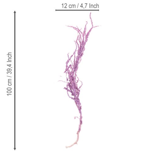 kohteita Kuivattuja ketunhäntäkukkia, värjättyjä, moderniin sisustukseen, 100 cm, 5 kpl