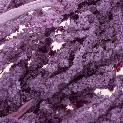 kohteita Kuivattuja ketunhäntäkukkia, värjättyjä, moderniin sisustukseen, 100 cm, 5 kpl