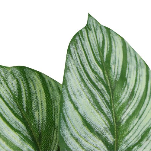 kohteita Calathea Artificial Basket Marante Keinotekoiset kasvit Vihreä 51cm