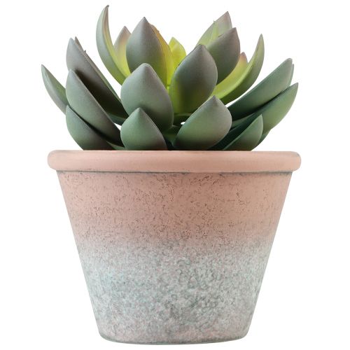 Mehikasvi ruukussa Echeveria keinovihreä vintage Ø15cm K16cm