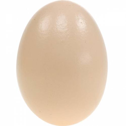 Floristik24 Goose Eggs Cream Puhalletut munat Pääsiäiskoristeet 12 kpl