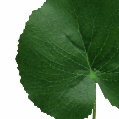 Floristik24 Pronssilevy Galax keinotekoinen vihreä Ø9cm H30cm 12kpl