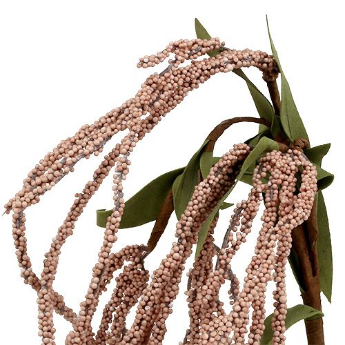 Floristik24 Puutarhan kettunhäntä 95cm