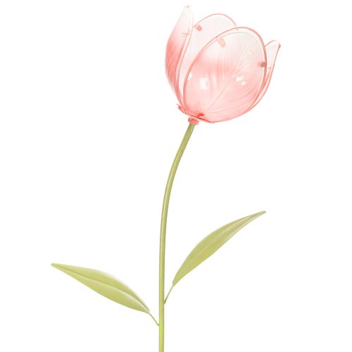 Puutarhakoristeinen tulppaani kukkapenkkeihin ja reunoille 94 cm