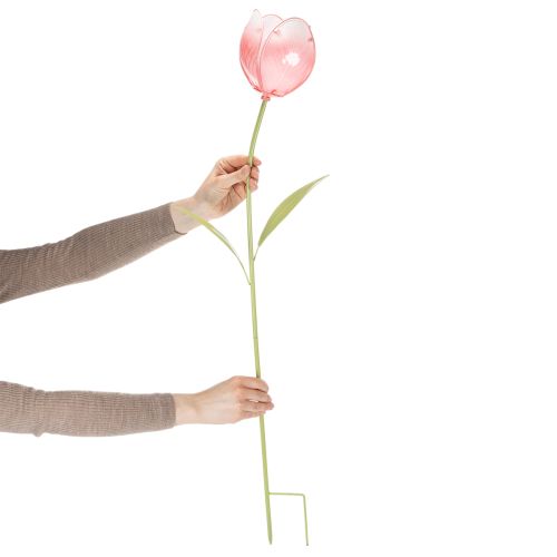 Puutarhakoristeinen tulppaani kukkapenkkeihin ja reunoille 94 cm | Floristik24.fi