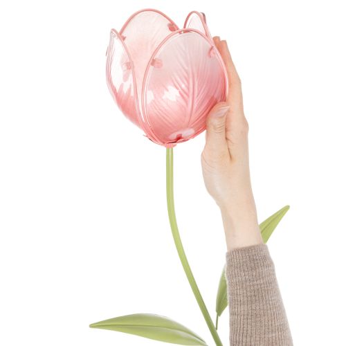 Puutarhakoristeinen tulppaani kukkapenkkeihin ja reunoille 94 cm | Floristik24.fi