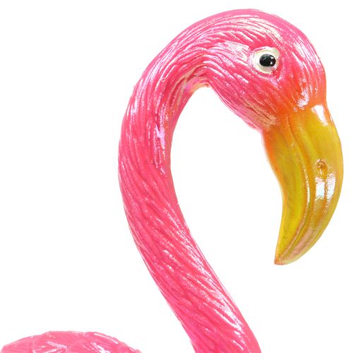 kohteita Puutarhatulppa flamingo vaaleanpunainen 15cm