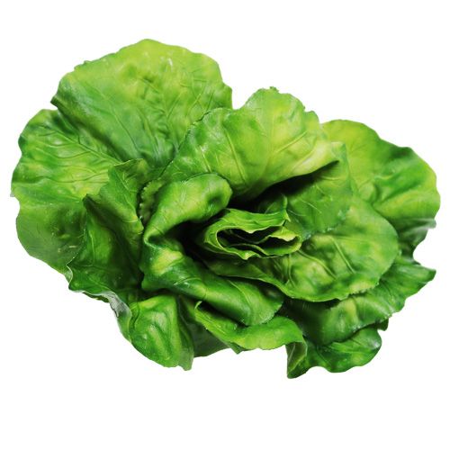 Floristik24 Vihannesvalikoima verkossa