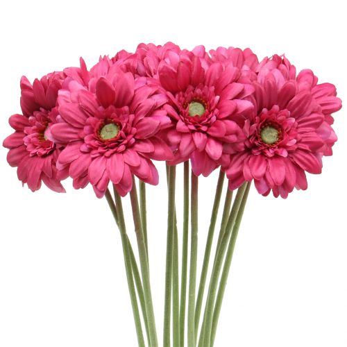 Floristik24 Gerbera Pinkki 48cm 12kpl