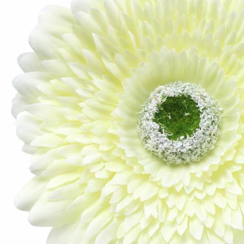 kohteita Gerbera tekovalkoinen 62cm 6 kpl