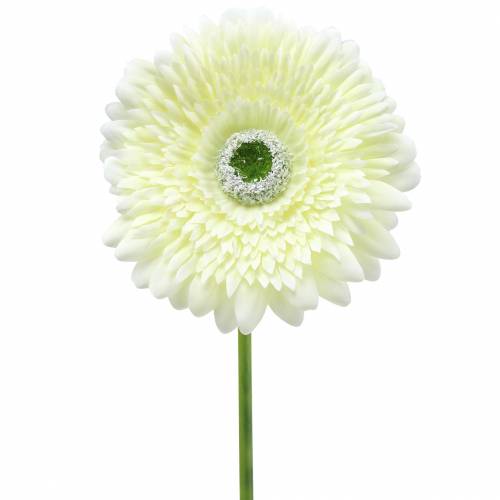 Floristik24 Gerbera keinotekoinen valkoinen 62cm 6kpl