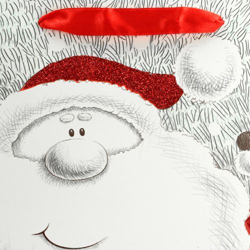 Floristik24 Lahjapussi joulupukilla 24cm x18cm x 8cm