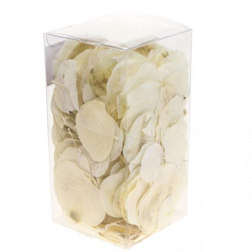 kohteita Kuivatut lehdet koristelu Moneta kuiva floristry cream 100g