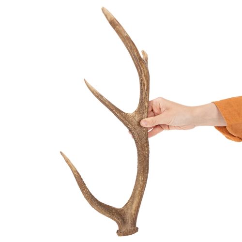 Koristeelliset tekosarvet, maalaismainen mökkikoriste, 50 cm | Floristik24.fi