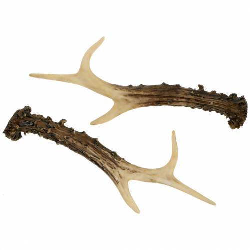 Floristik24 Deco antler maalaistalon koristelu pöytäkoriste 23cm 2kpl