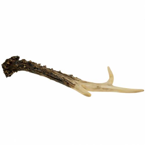 Floristik24 Deco antler maalaistalon koristelu pöytäkoriste 23cm 2kpl