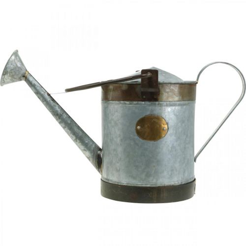kohteita Koristeellinen kastelukannu metallinen istutuslautanen retro look riippuva kori 58×23×32cm