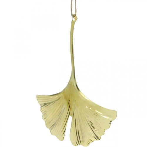 kohteita Ginkgo lehtiriipus, Adventtikoristeet, metallikoristeet syksyyn Golden L12cm 12 kpl