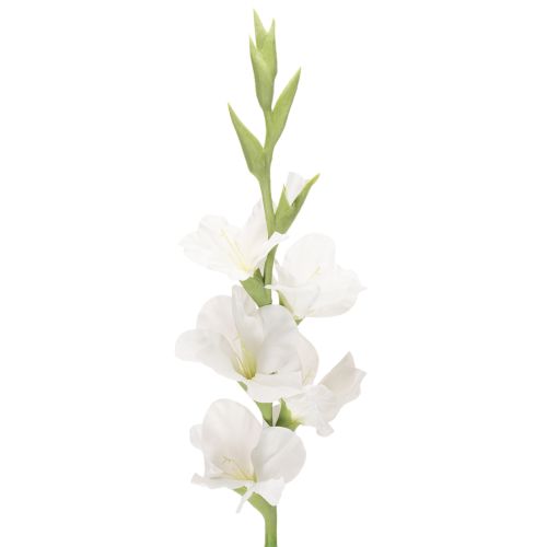 Keinotekoinen gladiolus, pitkävartinen, maljakoihin, 88 cm ostaa | Floristik24.fi