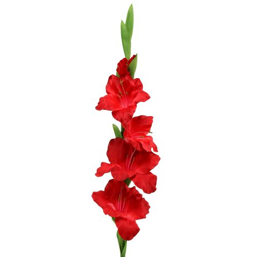 Floristik24 Gladiolusin punainen keinotekoinen 86cm