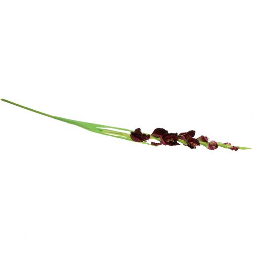 Floristik24 Gladiolus Real-Touch Bordeaux 93 cm
