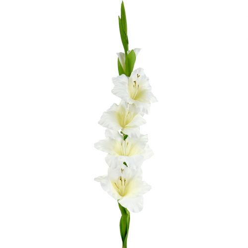 Floristik24 Gladiolus valkoinen 86cm keinotekoinen