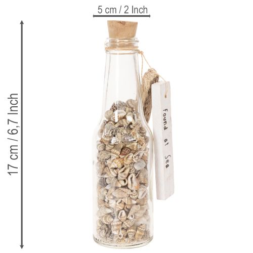 Lasipullokoriste simpukoilla ja riipuksella, merellinen pöytäkoriste, 17 cm, 2 kpl | Floristik24.fi