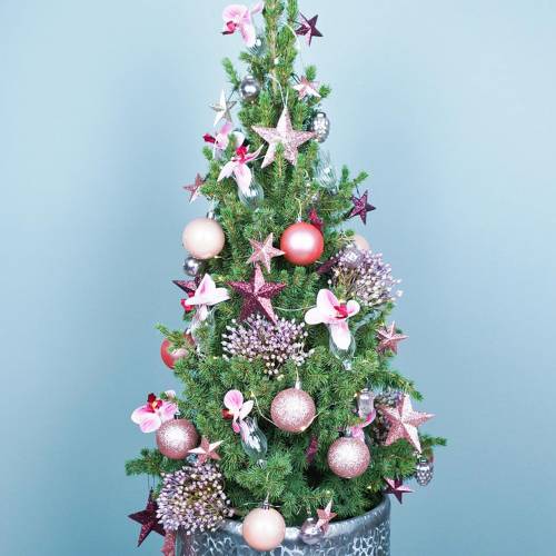 Floristik24 Lasimaljakko klipsikukalla Ø3,3cm K8,5cm kirkas 4kpl