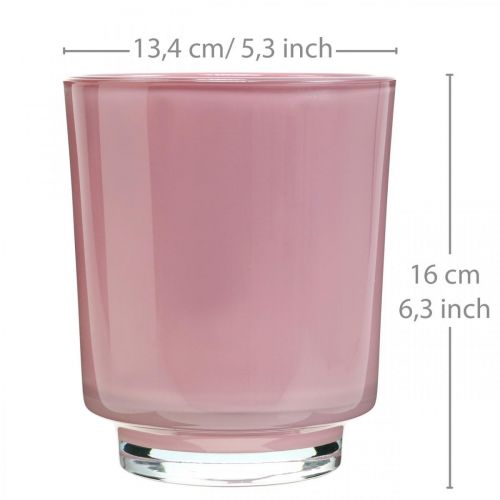 kohteita Orkideakasvin lasi pinkki H16cm Ø13.4cm