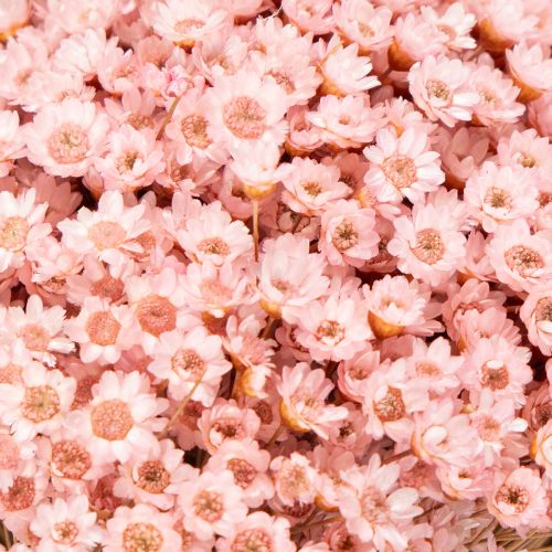 kohteita Koristeellinen kukkakimppu, ihanteellinen kevääseen, pääsiäiseen ja juhlatilaisuuksiin, 44 cm