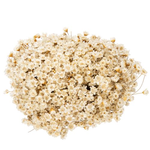 kohteita Kuivakukkakimppu, herkät kukat luonnonmukaiseen kodin sisustukseen, 44 cm