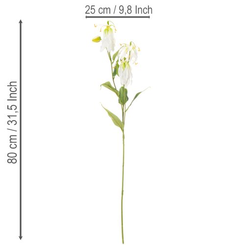 Tekokukka Gloriosa, valkoinen ja keltainen, elegantti kukkiva oksa koristeeksi, 80 cm, 3 kpl | Floristik24.fi