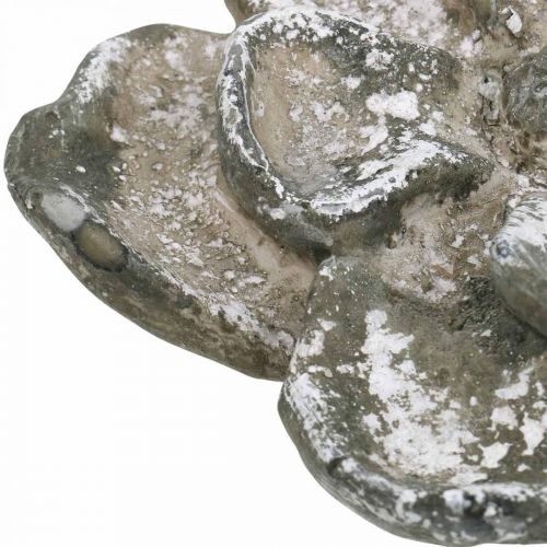 Floristik24 Hautakoristeet, betonikoristeet, puutarhakoristeet, betoniruusu Ø15,5cm
