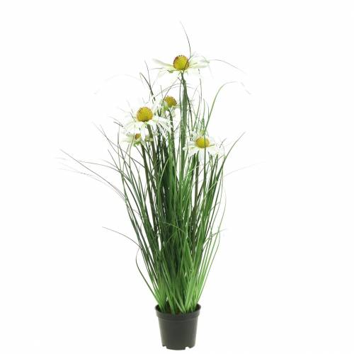 Floristik24 Keinotekoinen ruoho Echinacean kanssa valkoisessa ruukussa 52cm