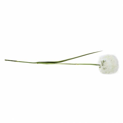 Floristik24 Koristeellinen voikukka 100cm